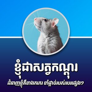 Khimsoft Rat